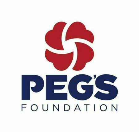 Pegs foundation3